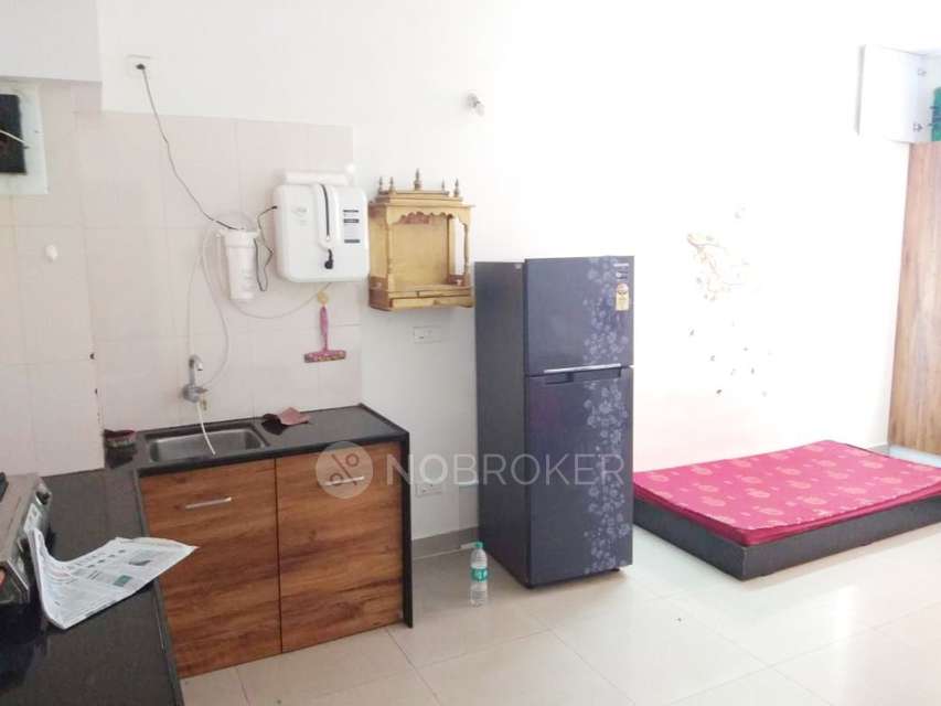 1 BHK Flat In Blue Ridge - Paranjpe Schemes for Rent  In Hinjawadi