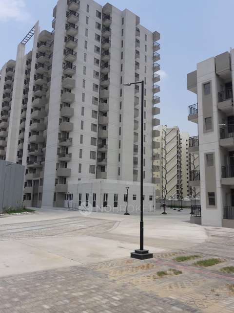 2 BHK Flat In Signature Global Solera 2 for Rent  In Sector 107