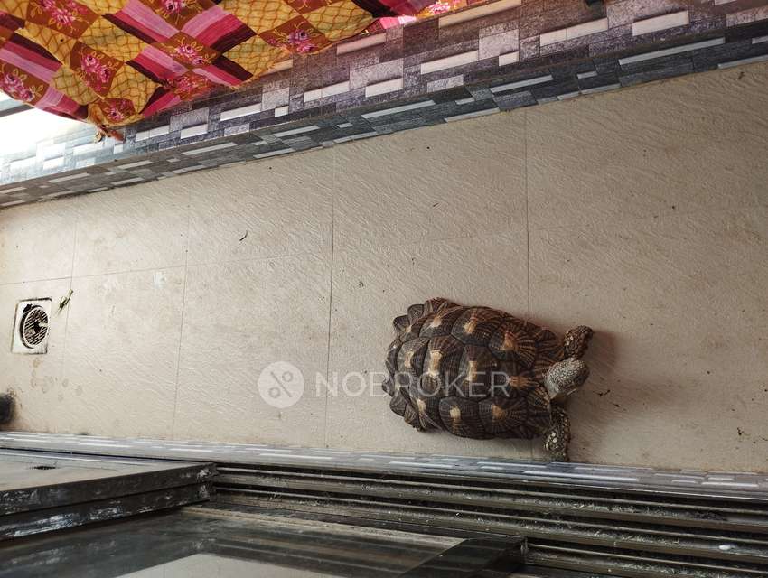 2 BHK Flat In Dream Opel For Sale  In Plot No 67 Sector 19 Ulwe