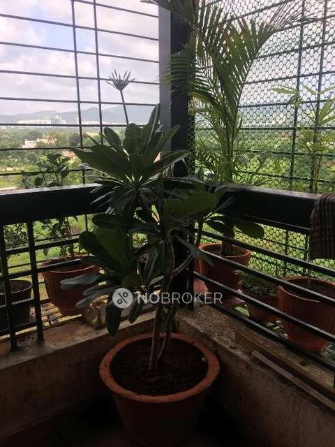 2 BHK Flat In Premshanti Homes for Rent  In Maan