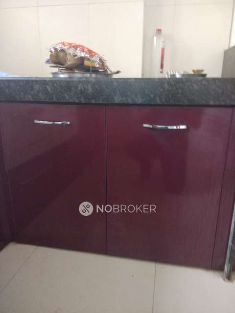 1 BHK Flat In Atria Dhanashree Aangan for Rent  In Handewadi