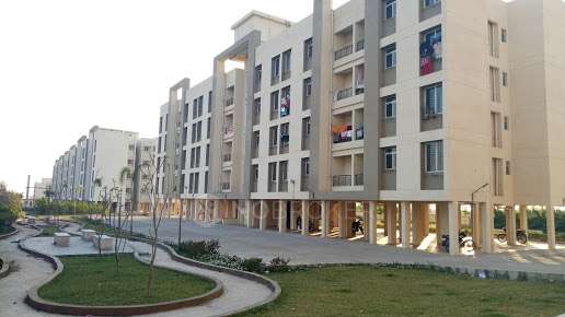 1 BHK Flat In Maple Aapla Ghar For Sale  In Sanaswadi, Pune