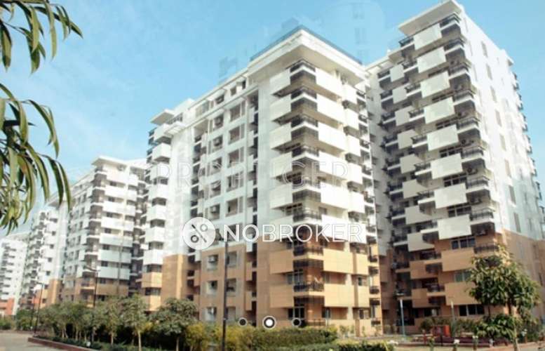 4 BHK Flat In Aravalli Woods Residential Society for Rent  In  Sector 24