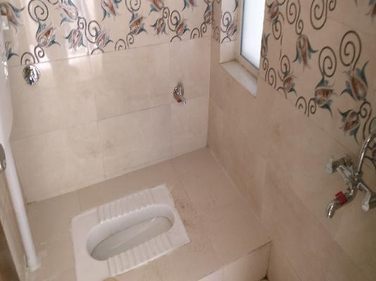 1 BHK Flat In Sai Fortune for Rent  In Moshi