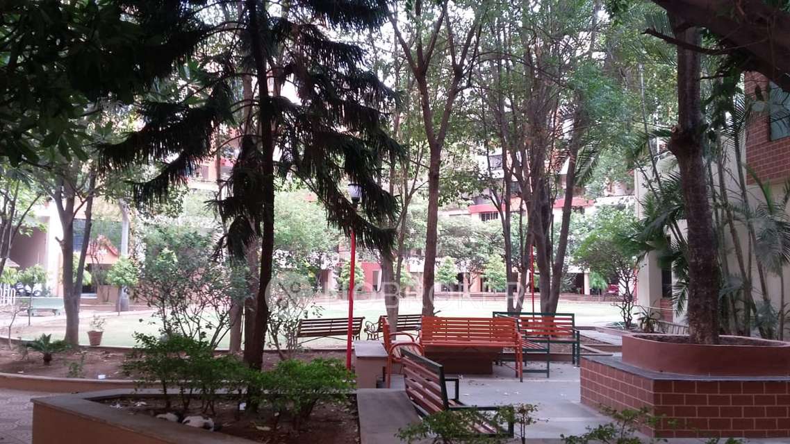 2 BHK Flat In Ganga Nebula Housing Society for Rent  In Viman Nagar