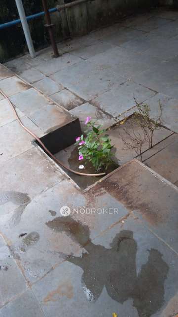 1 BHK Flat In Amar Nagari For Sale  In Hadapsar