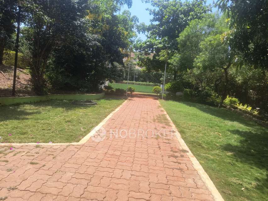 2 BHK Flat In Treeth Aarohi for Rent  In Sus Gaon