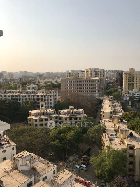 2 BHK Flat In Amit Colori Phase 2 H  for Rent  In Amit Colori ***** 2 H 