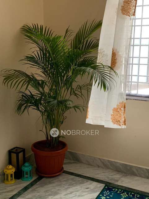 2 BHK Flat In Pns Residency Apartment for Rent  In Upperpally