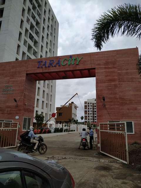 2 BHK Flat In Shiv Tara City for Rent  In Loni Kalbhor