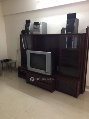 2 BHK Flat In Camellia Apartment for Rent  In Baner