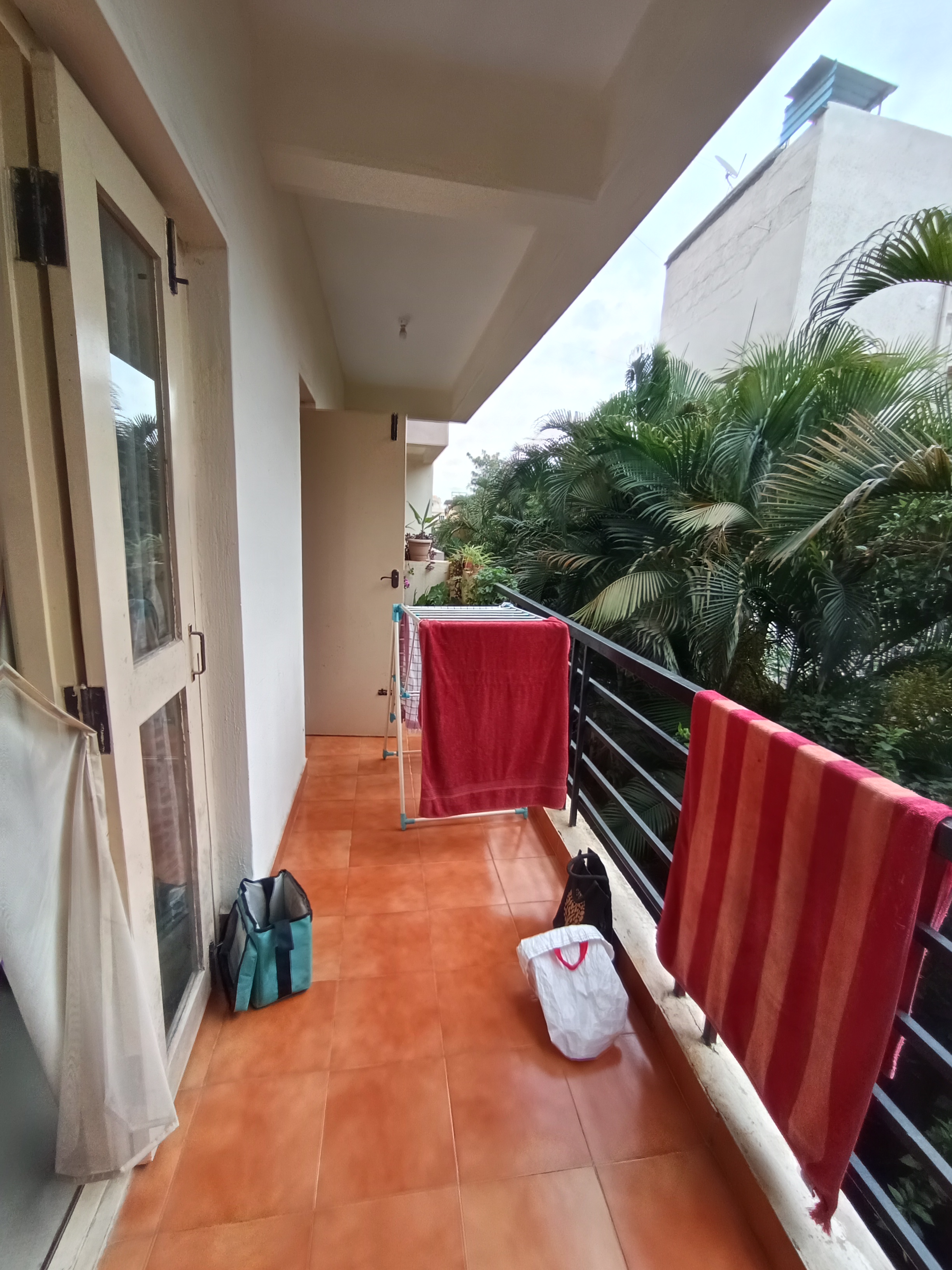 Cattleya Sriven Nest