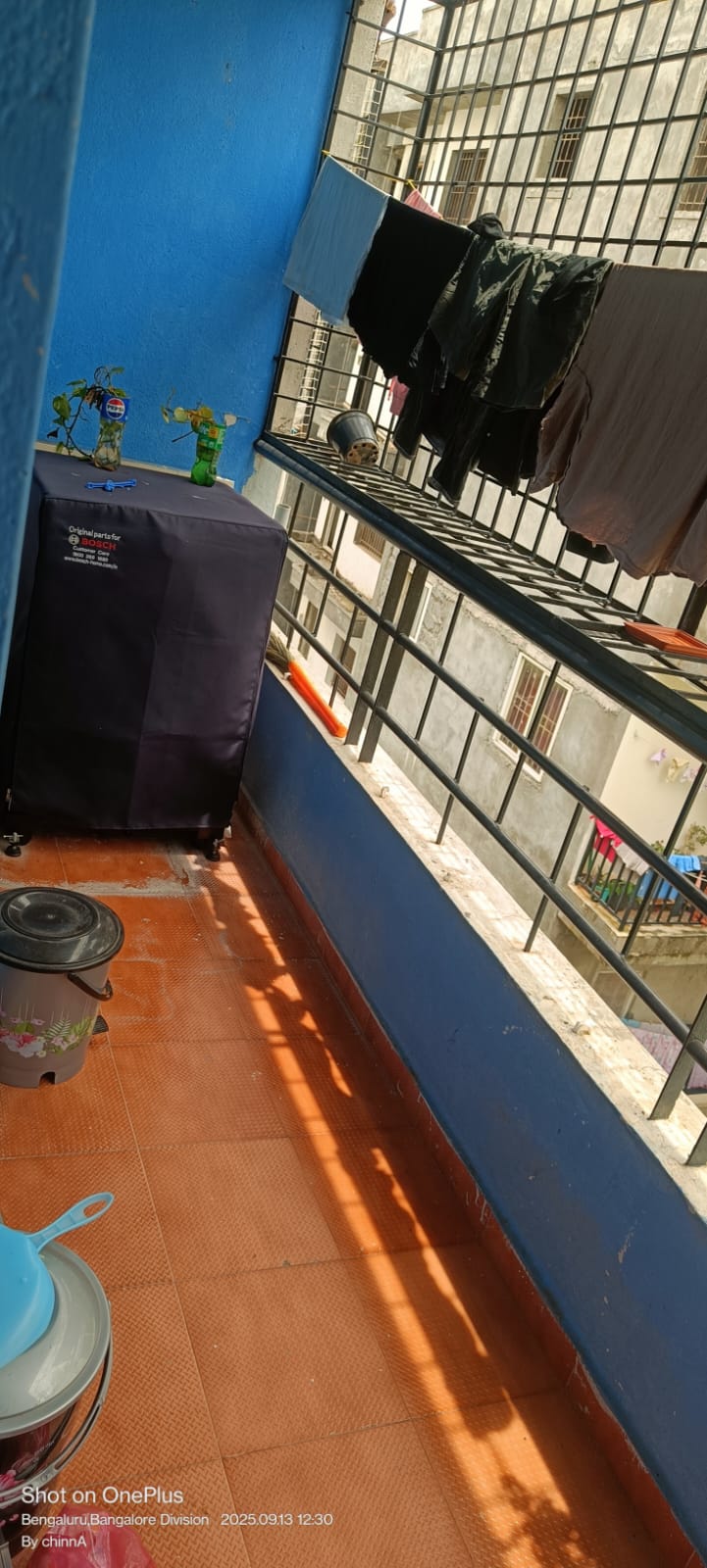 Magnolia Maks Blossom