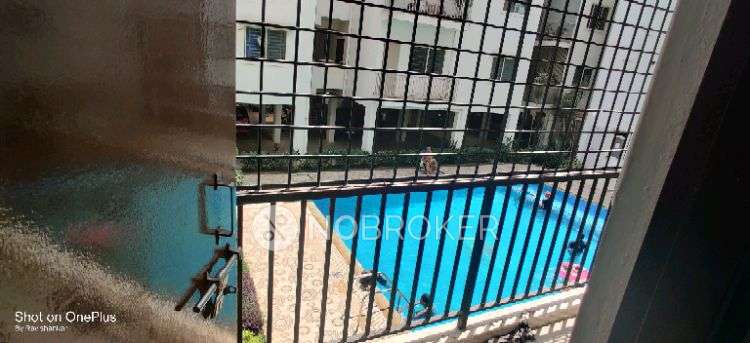 2 BHK Flat In Pyramid Carnations for Rent  In Yelahanka