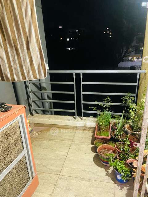 1 BHK Flat In Bellie Vie for Rent  In Wagholi
