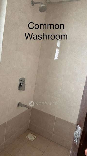 3 BHK Flat In Blue Ridge Tower 24  for Rent  In Blue Ridge Town Pune