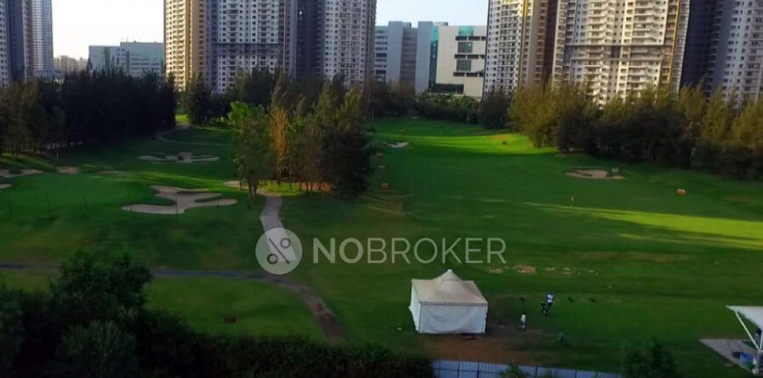 3 BHK Flat In Blue Ridge Tower 24  for Rent  In Blue Ridge Town Pune