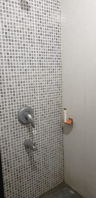 1 BHK Flat In Tata La Montana Phase 1 for Rent  In Talegaon Dabhade