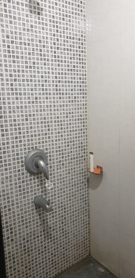 1 BHK Flat In Tata La Montana Phase 1 for Rent  In Talegaon Dabhade