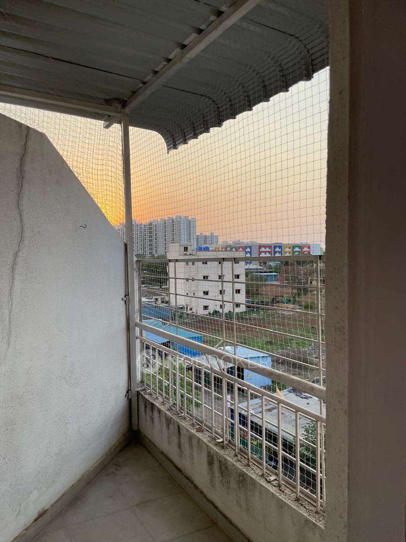Enhance Your Home Security and Bird Control with Professional Pigeon Net Installation in Phursungi Pune