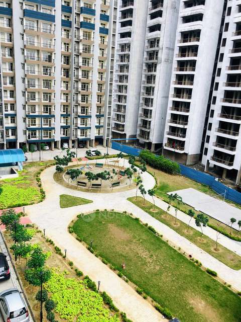 3 BHK Flat In Radicon Vedantam For Sale  In Sector 16