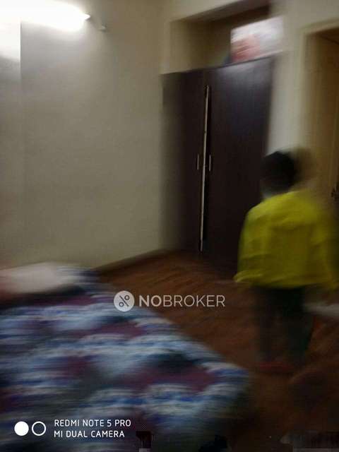 1 BHK Flat In Paras Tierea For Sale  In Sector 137