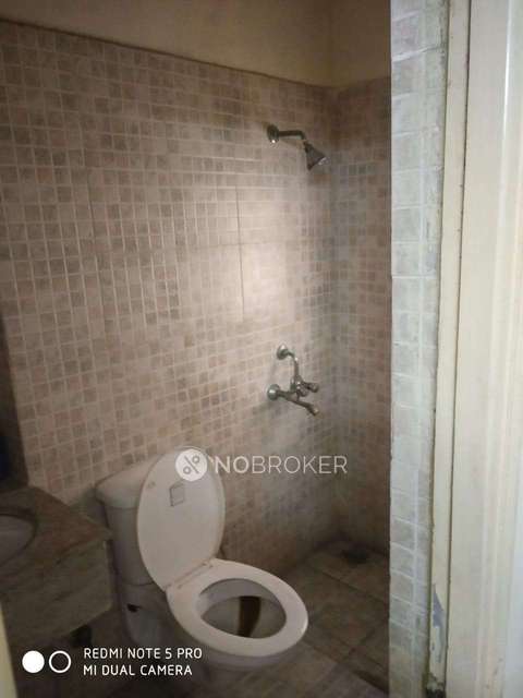 1 BHK Flat In Paras Tierea For Sale  In Sector 137