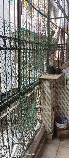 1 BHK Flat In Trivani Apartment For Sale  In  Shalimar Garden