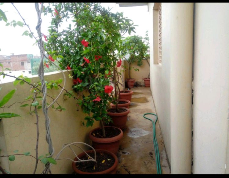 Neelkanth Apartment 2