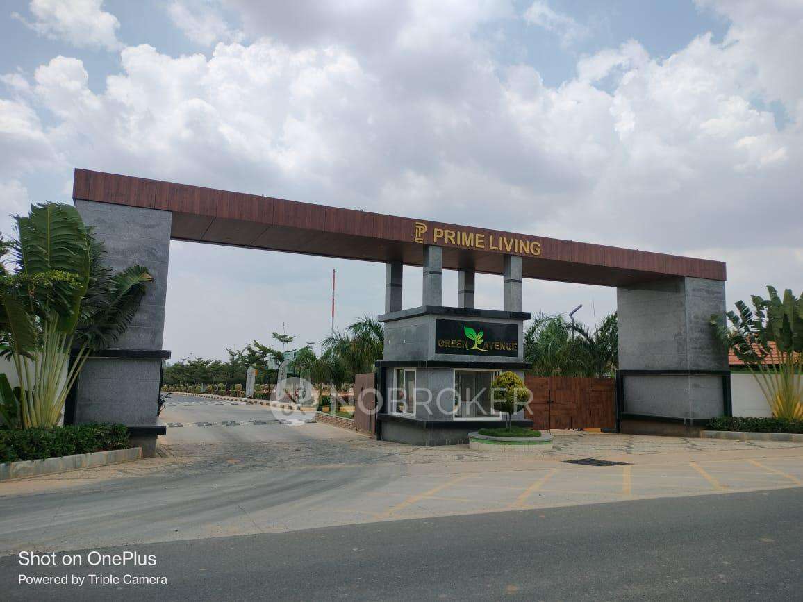 Prime Green Avenue