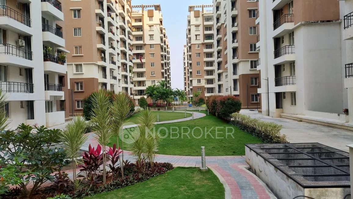 Reliable Balaji Aura