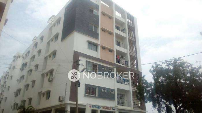 Asvasidh Novateur Nest