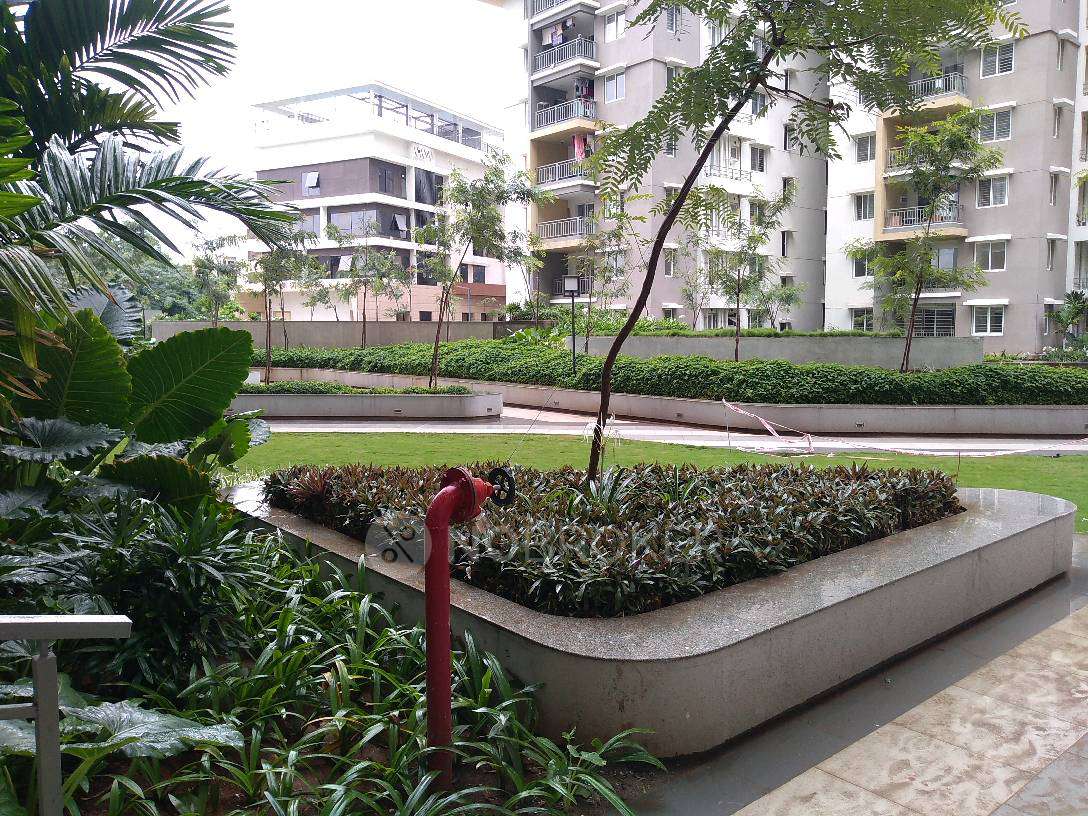 Gandhi Heights