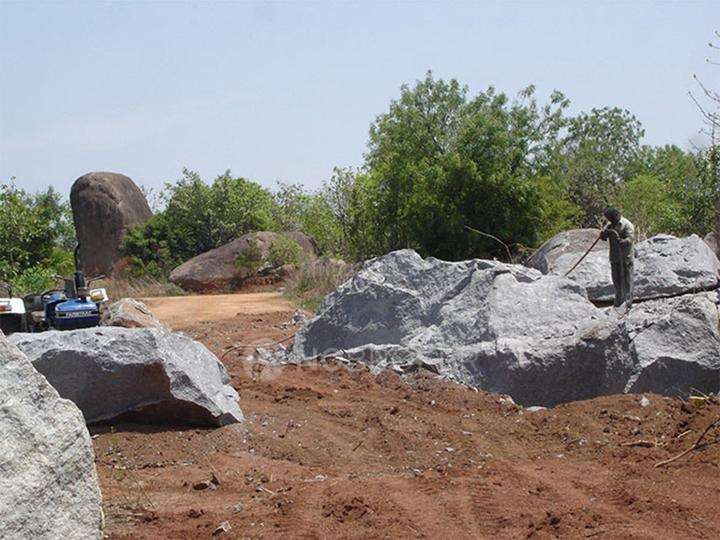 Suchirindia Koral Reef