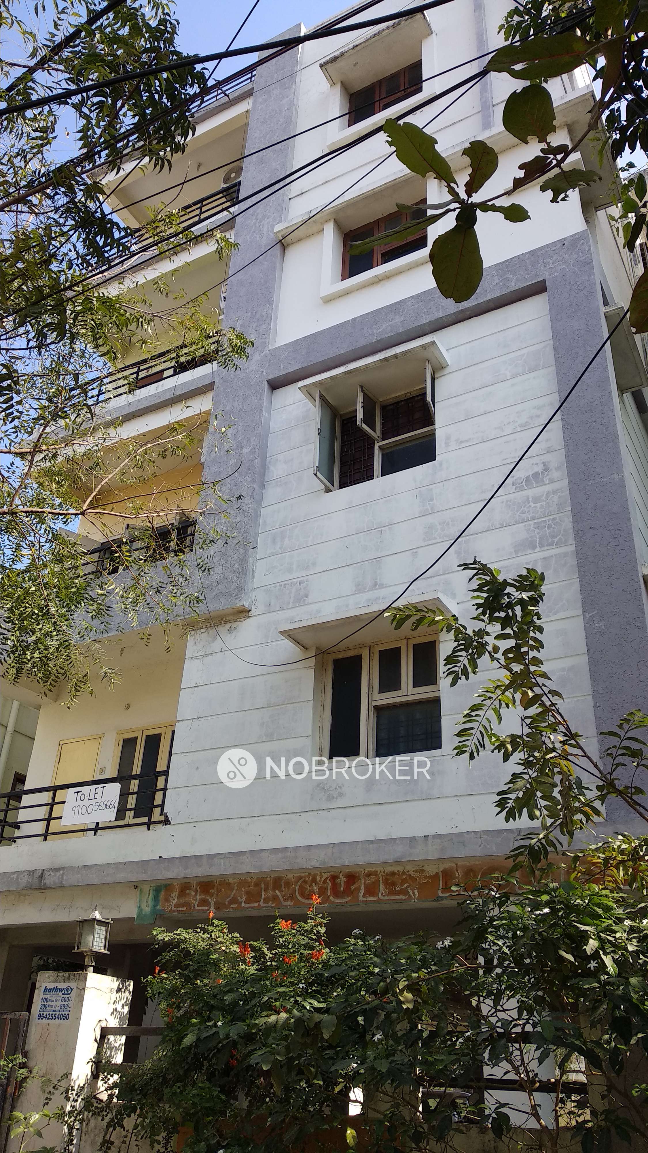 Siri Airport Dollar City