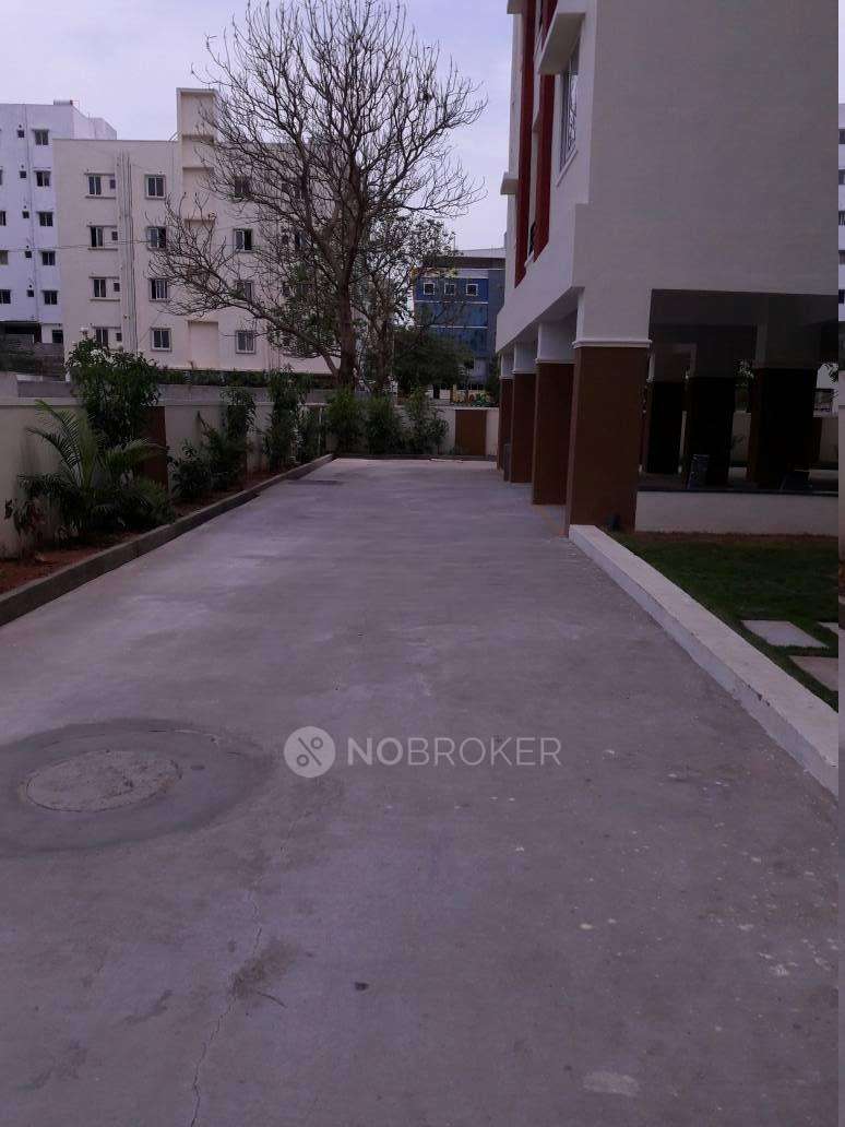 Viswa Golden Blossom