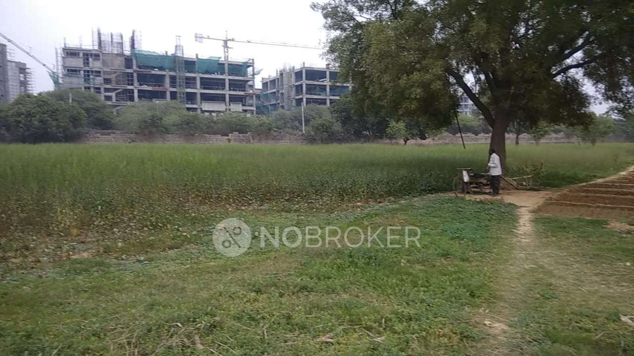 Kiera Knowledge Park