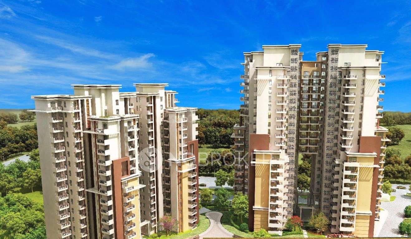 Orris The Blue Lagoon