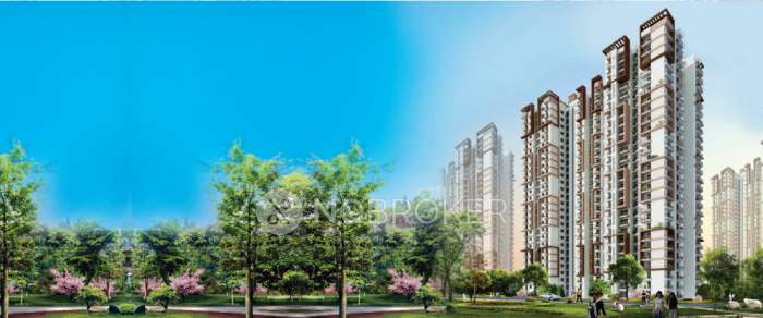 Premia The Western Star