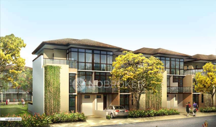 Paramount Golf Foreste