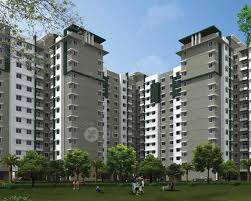 Provident Park Woods