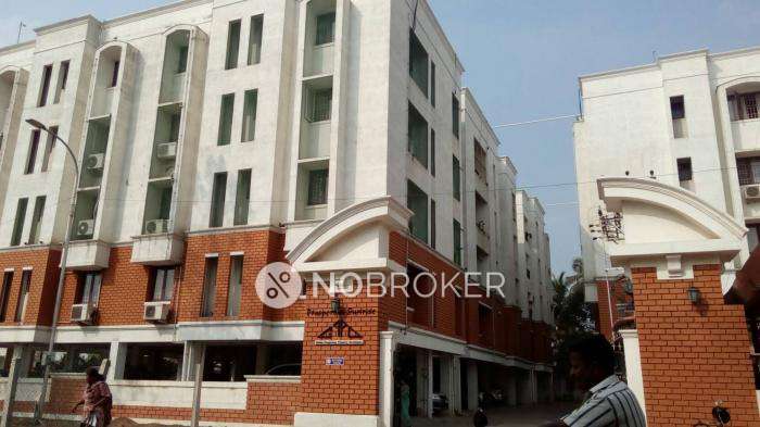 Golden Prosperous Sun Rise