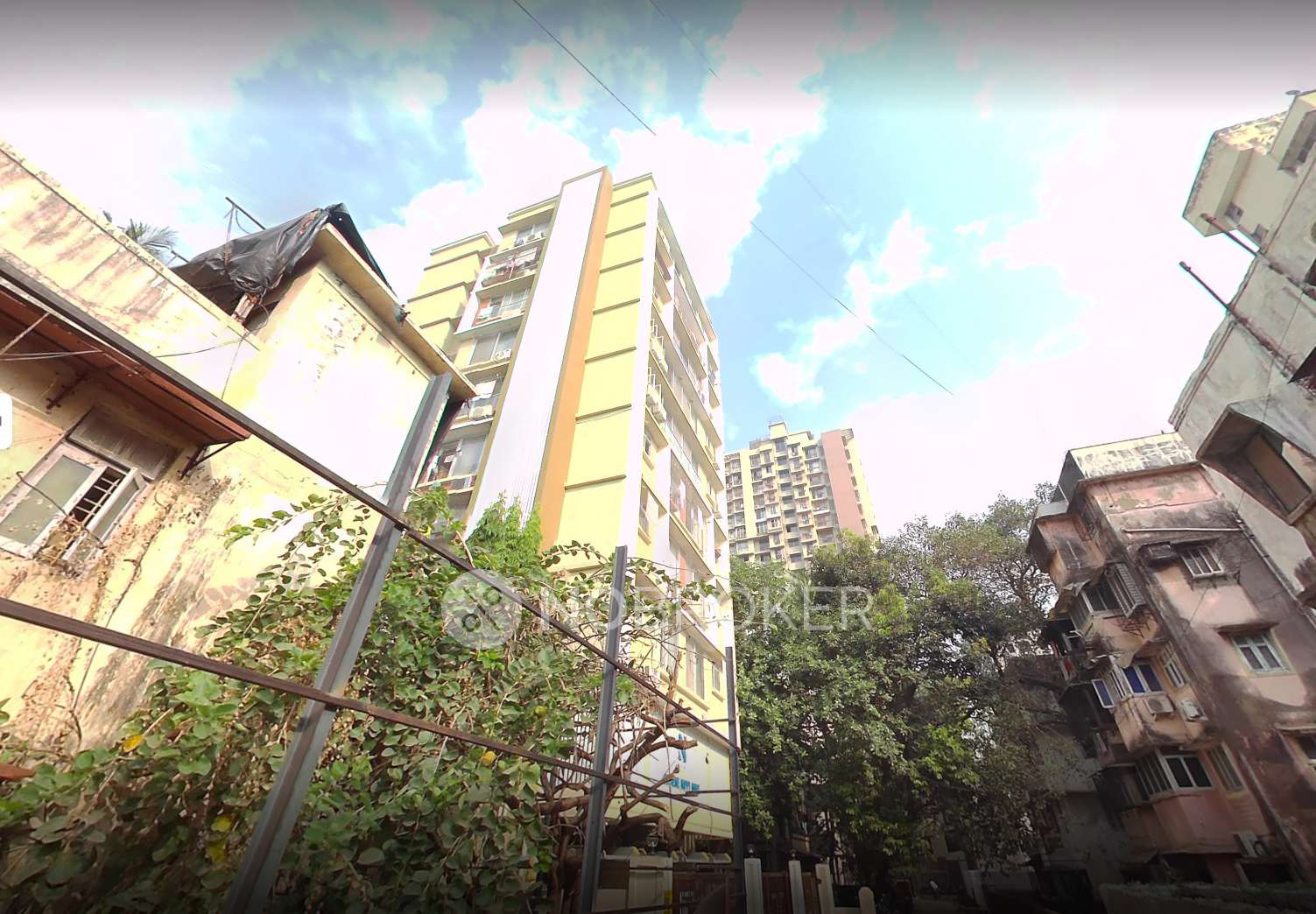 Shelby Supreme Happy Home