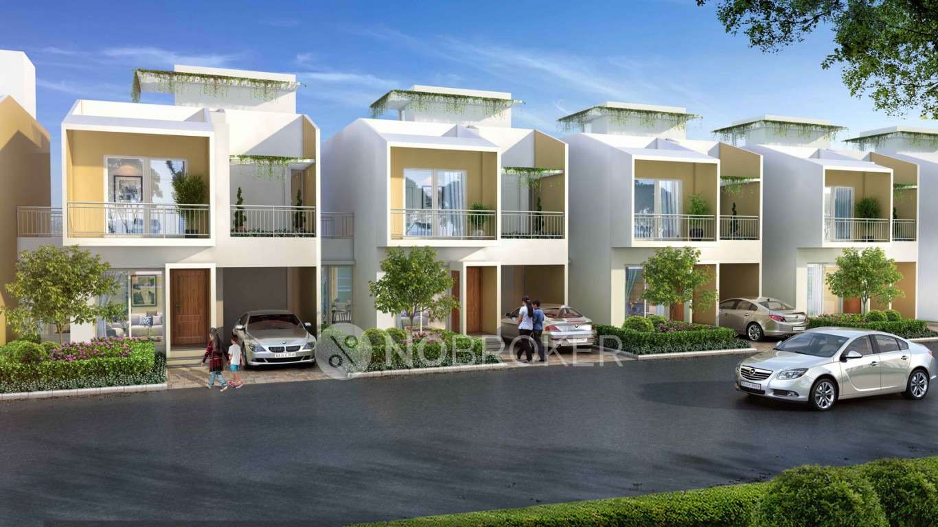 Aratt Rolling Whites