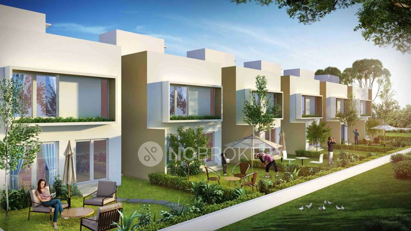 Aratt Rolling Whites