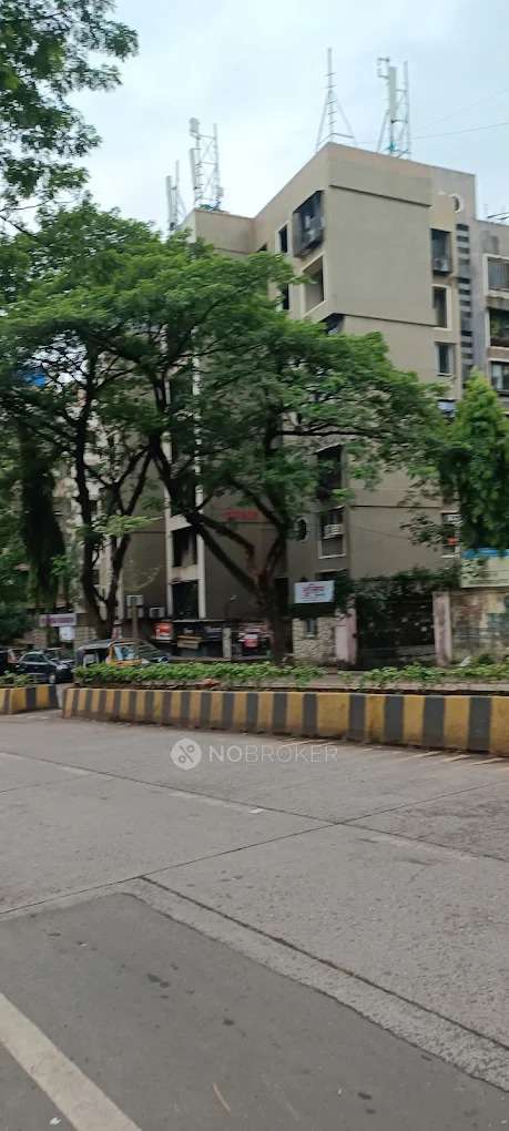 Rachana Garden Primrose