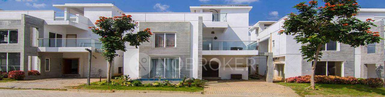 Bluejay Aster Villas