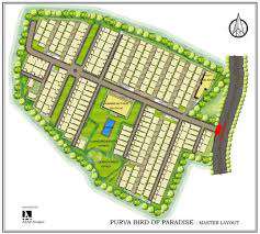 Purva Bird Of Paradise