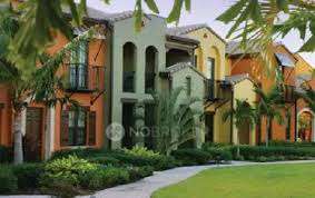 Purva Bird Of Paradise