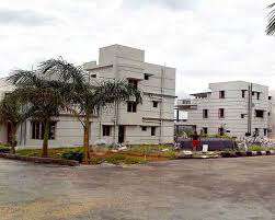 Purva Bird Of Paradise